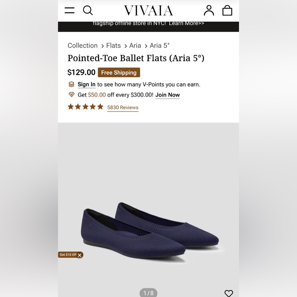 Vivaia Pointed-Toe Ballet Flats (Aria 5°) sz 9.5